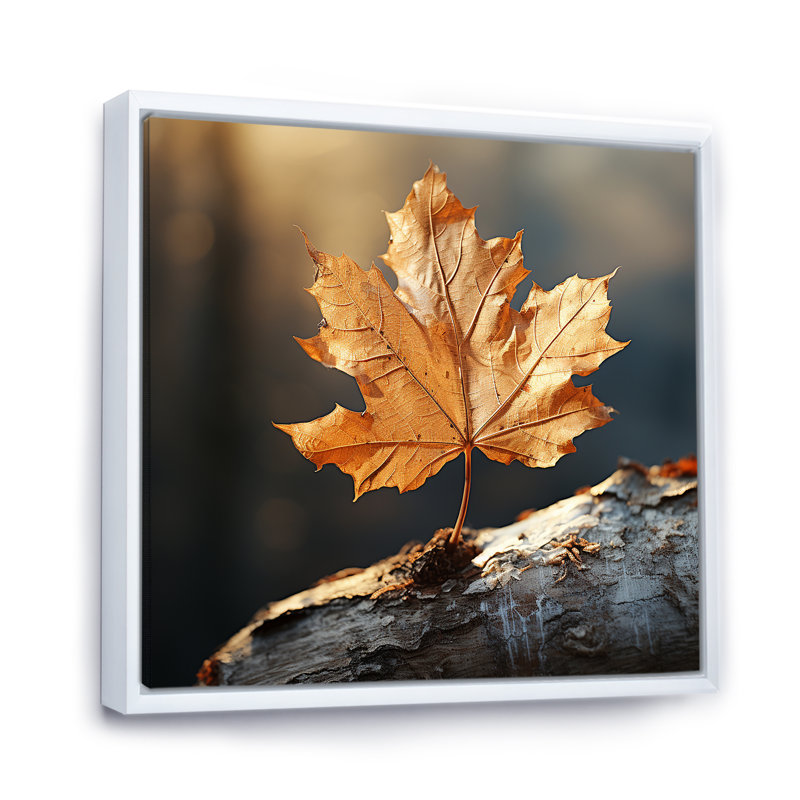 «Brown Leaves Russet Reduction», reproduction sur toile, Cadre flottant blanc, H 36 po x l 36 po