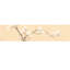 Magnolia by Xiu Yitang - Single Picture Frame Print