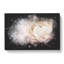 Pink Ranunculus Flower - Wrapped Canvas-56645700