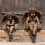 Sitting Medium Cherub Statue-13915337