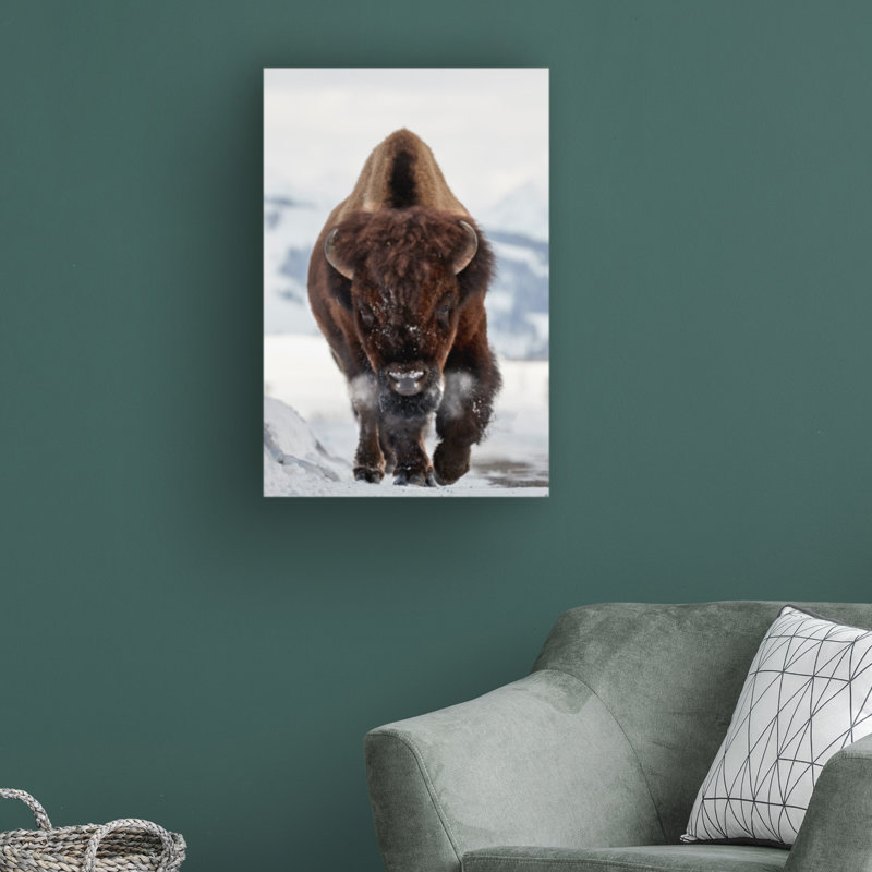 «Bison Incoming» par Peter Hudson - reproduction de photo sur toile tendue, H 24 po x l 16 po x P 2 po