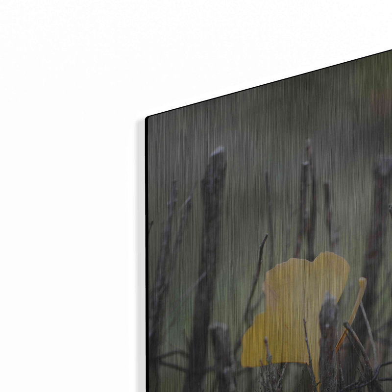 " Prisoner Fall " by Philippe Sainte, 24" H x 16" W