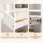 Bookcase-134725296