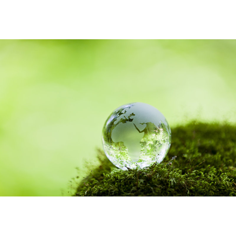 Earth on Mossy Rock in the Forest 695279308, 81cm H x 122cm W