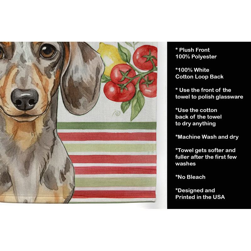 Torchon Dapple Dachshund, Dapple Dachshund