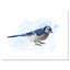 Geai bleu rétro - impression sur toile-59779974-59707085