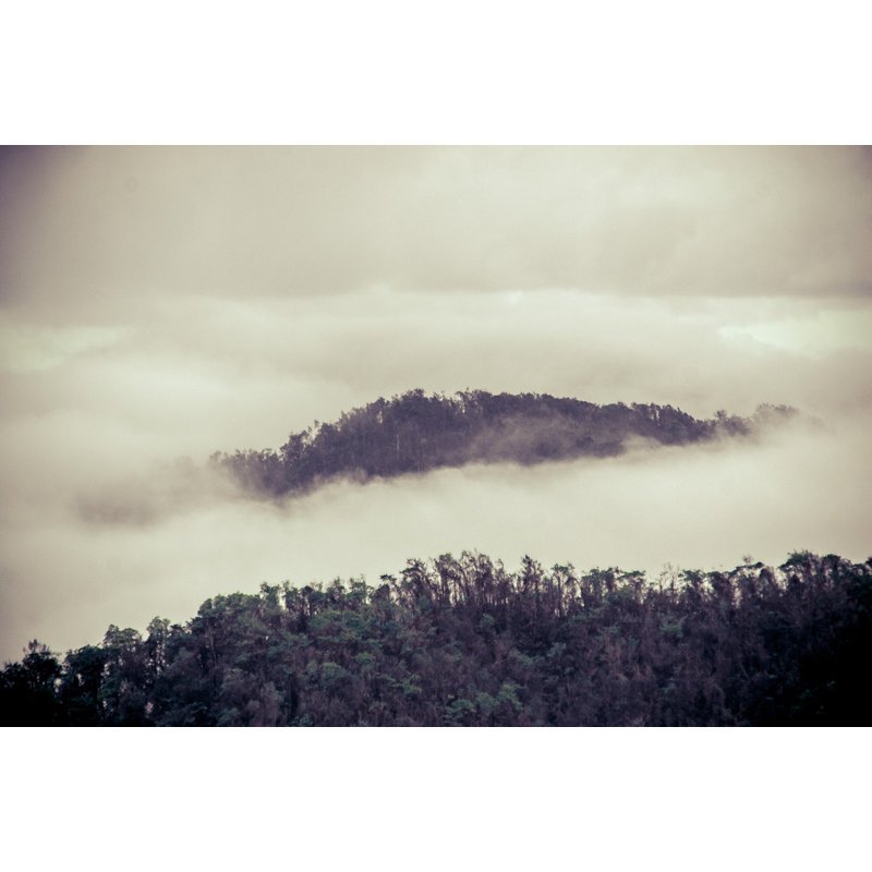 Brume Print by Francis Augustine, Acrylic, No Mat, 24" H x 36" W x 0.1" D