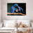Hyacinth Blue Macaws-107921719