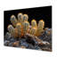 Cactus jaune, jaune, noir, coucher de soleil, cactus floral, salon-199713832-199713834