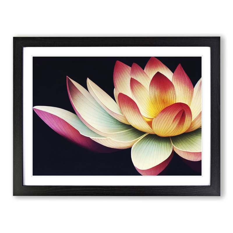 Bright Lotus Flower - Single Picture Frame Print, 34cm H x 46cm W x 2cm D, Black Framed