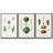 " Fruit And Vegetable Varieties I " 3 - Pieces-97795178-97795177