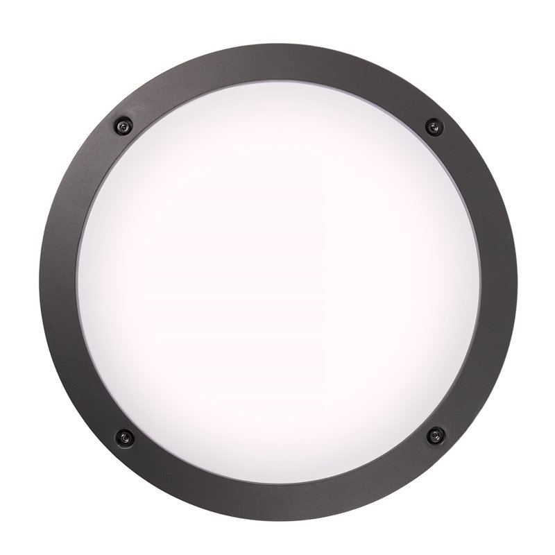 Witteride 30cm H Outdoor Ceiling Light, Anthracite