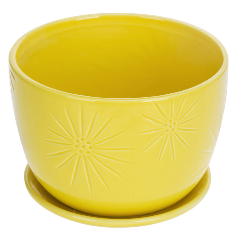 Edolie 17.8 cm Indoor Ceramic Pot Planter, Yellow