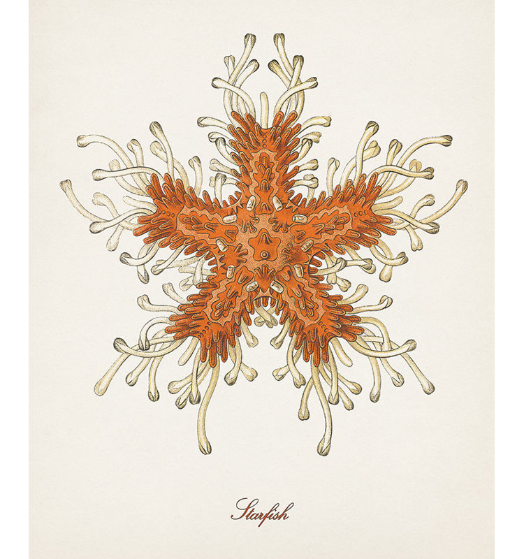 «Nautical Art III» par Sofia Fox - impression sur toile, H 28 po x l 24 po x P 1,5 po, Couche de verre