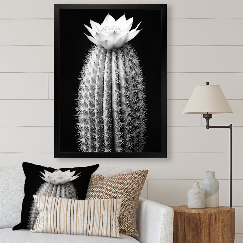 Cactus gris élégant en monochrome I - impressions sur toile florales et botaniques, Cadre photo noir
