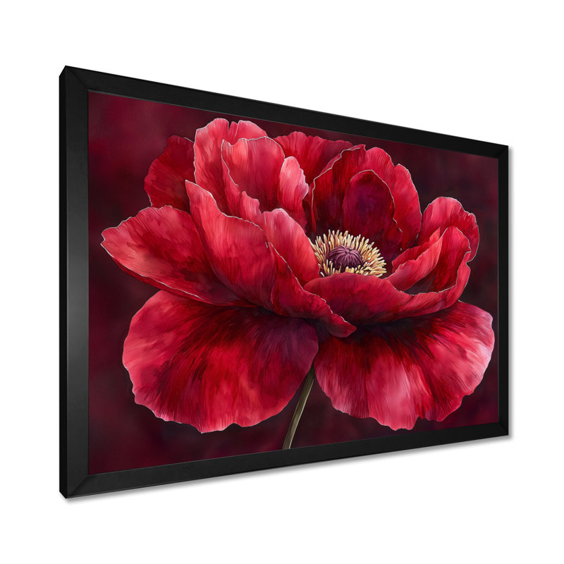 Velours bourgogne pivoine douce symphonie II - pivoines, art mural, H 12 po x l 20 po, Cadre simple noir