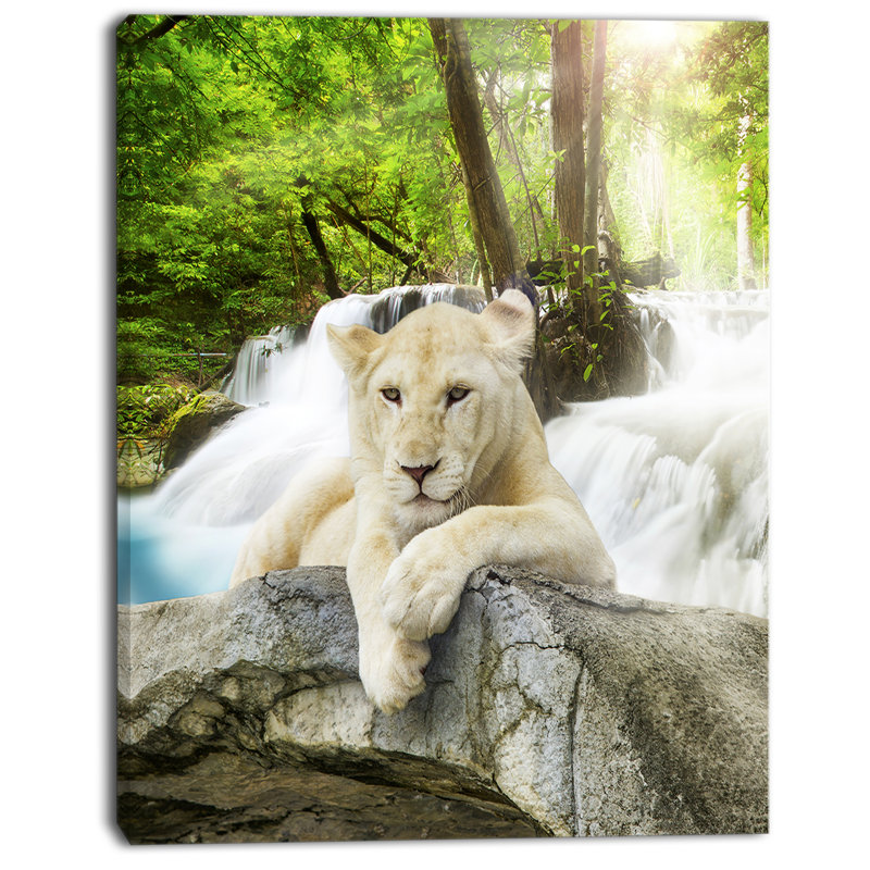 « white lion », impression sur toile, H 20 po x l 12 po x P 1po
