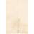 Orpheus Cream Rug