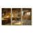 Gold Floater Framed Canvas
