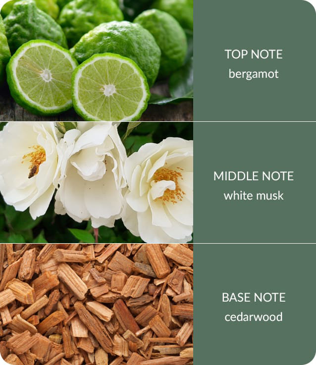 Bamboo Everyday Musk Room Sprays