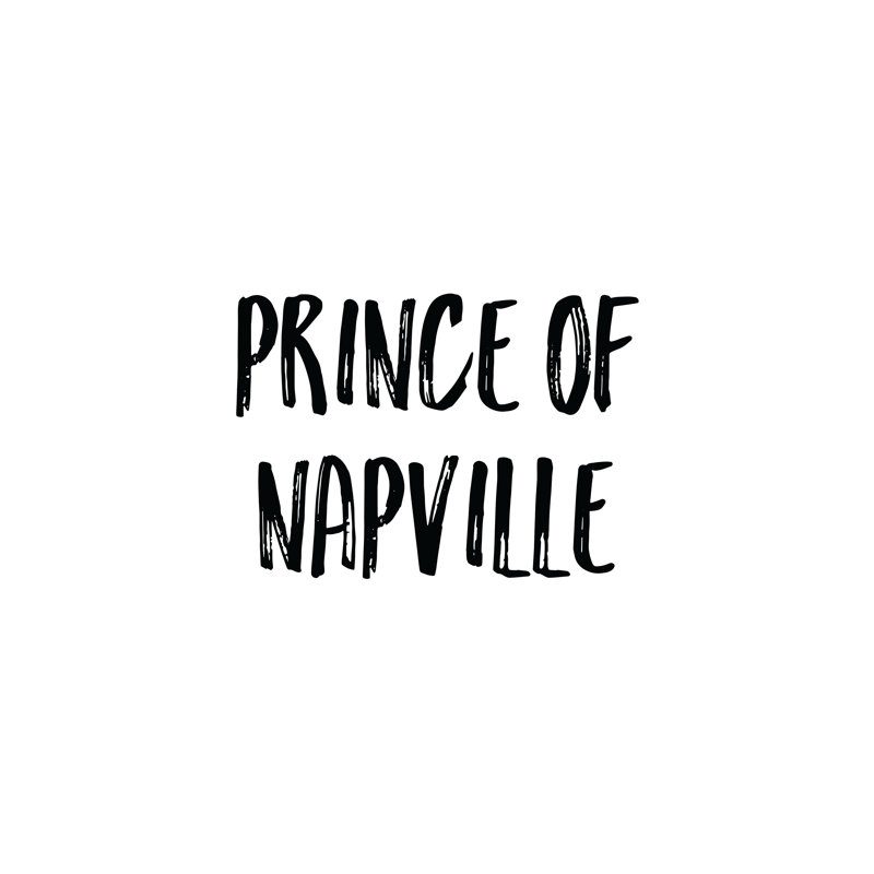 Napville Prince - Wrapped Canvas Print, 30cm H x 30cm W x 3.8cm D