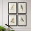Barn Owl - ensemble de 4 reproductions de cadres photo-868360941-868360935