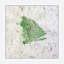 Snapper Green - reproduction d'art sur toile-1082186916-1082186917