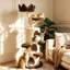 160cm H Cat Tree House