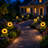 Solar Outdoor Garden Lights LED Stake Waterproof Pathway Light for Yard Patio Landscape Decorations