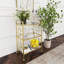 Arcadia Polished Bar Cart