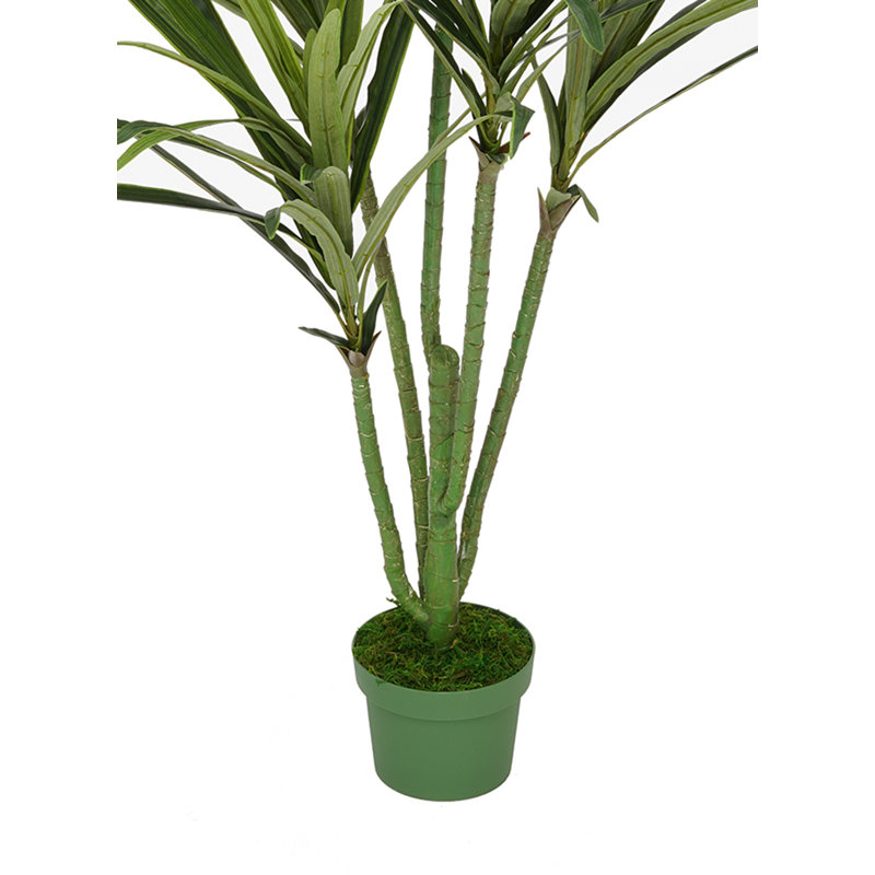 Faux Dracaena Tree in Planter, 48" H x 30" W x 30" D