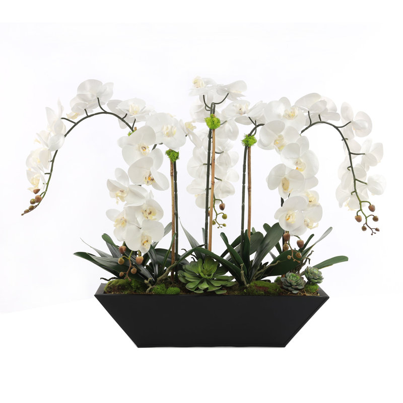 Real Touch Phalaenopsis Orchid Floral Arrangement in Pot