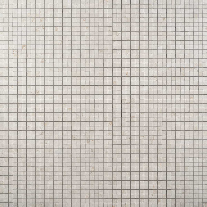 Portrait 1X1 Matte Porcelain Mosaic, Ivory