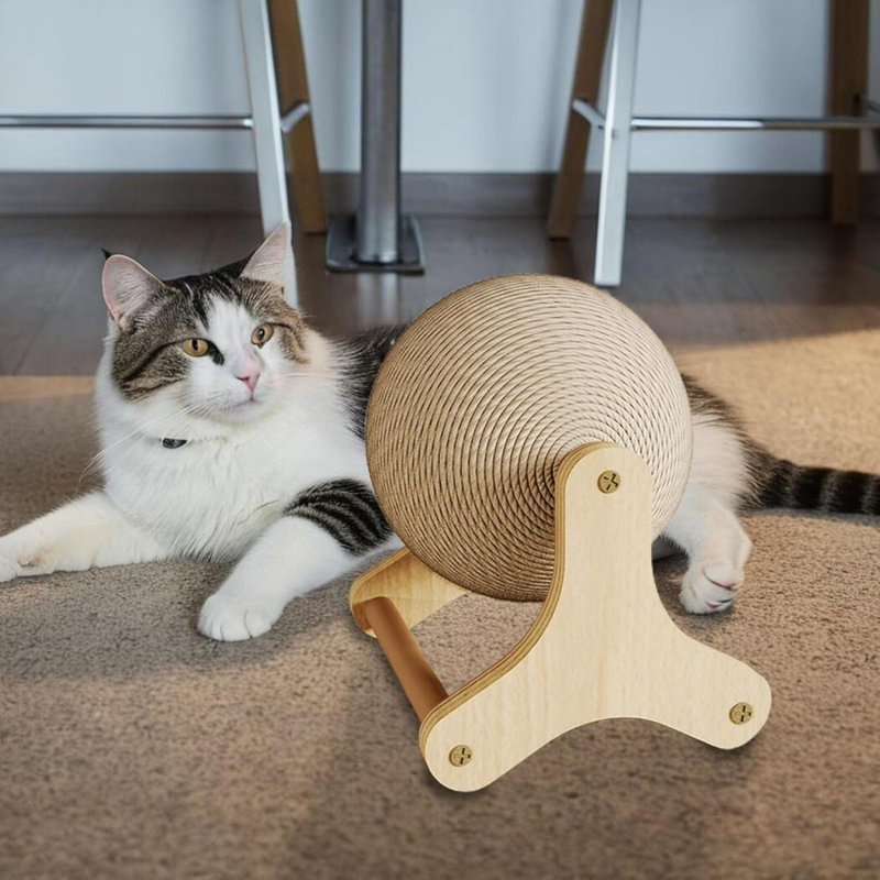 Balle à gratter pour animal de compagnie