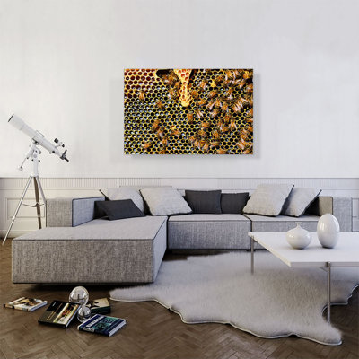 Queen Cup - Reproduction de photo sur toile tendue