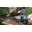 Statuaire et pompe à eau fontaine-49277779