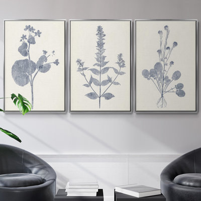 Marine Botanicals IV, ensemble de 3 toiles encadrées
