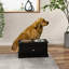 Grande station d'alimentation pour chien avec rangement, capacité de 11 L, noir, acier inoxydable amovible pour un espace de rangement hygiénique pour animaux de compagnie