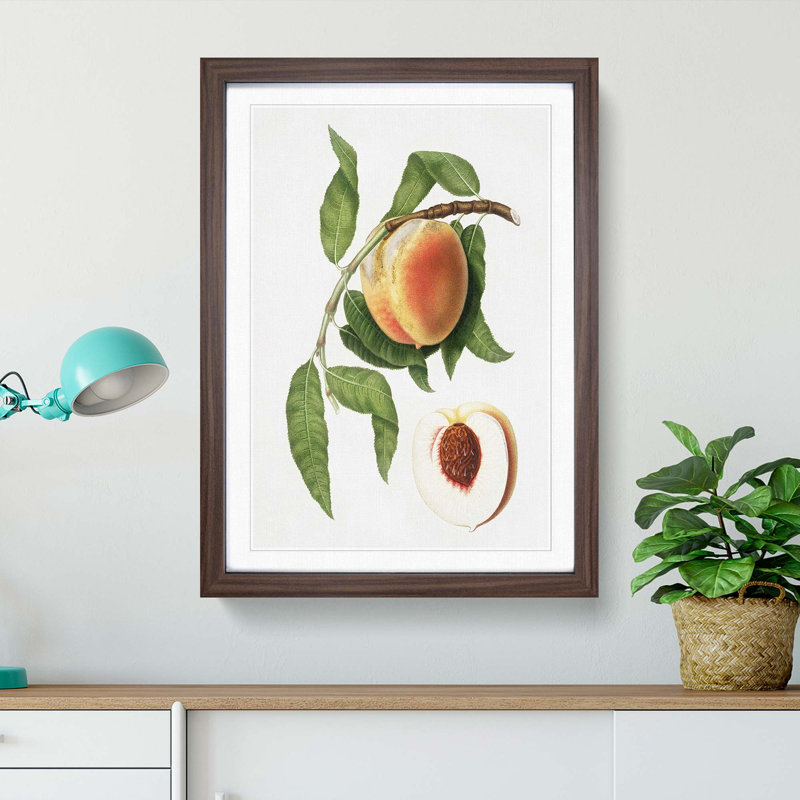 Juicy Peach Tree by Giorgio Gallesio - Picture Frame Graphic Art Print, 36cm H x 27cm W x 2cm D, Walnut Framed