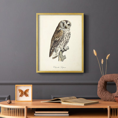 «French Owls III», reproduction encadrée - bois massif