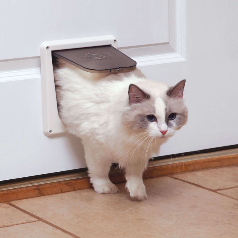 White 4-Way Locking Small Cat Door