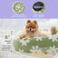 Lit pour chien Lesure Donut-442354695-466789894