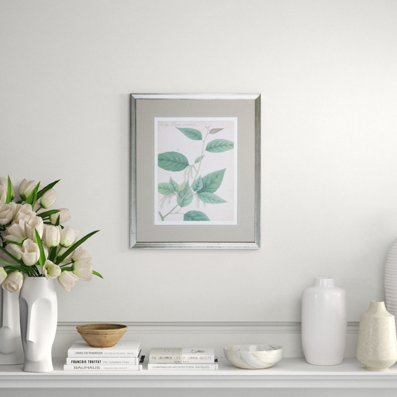 Botanical I Print by Haslam