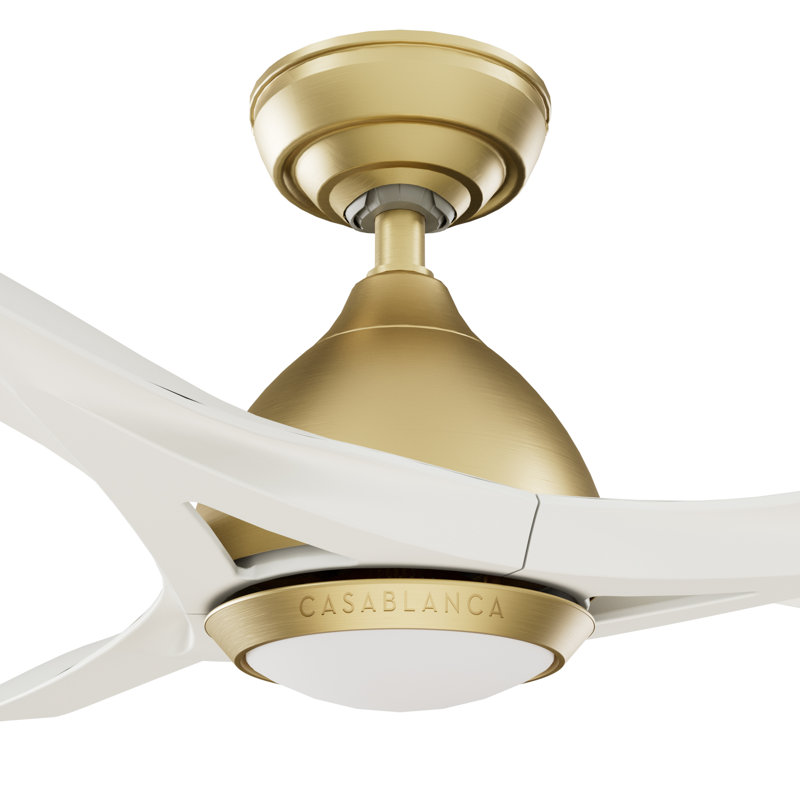 Casablanca 54 inch Elise ENERGY STAR®  Damp Rated Ceiling Fan with Lights and Wall Control