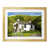 Oak Wood Frame is unavailable