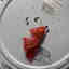 Photos des clients 3 de 4
