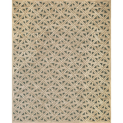 Tapis beige / vert en laine tissé à plat à la main de conception unique 8 pi x 10 pi