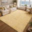 Astri Area Rug-1092415171