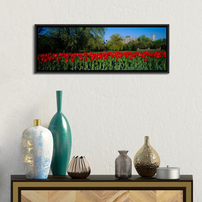 Tulipes panoramiques dans un jardin, boston public jardin, boston, massachusetts, reproduction de photo sur toile tendue