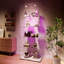 5-Tier Glass Display Cabinet with Lock and LED-967987572-967987573